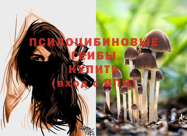 бутират Армянск