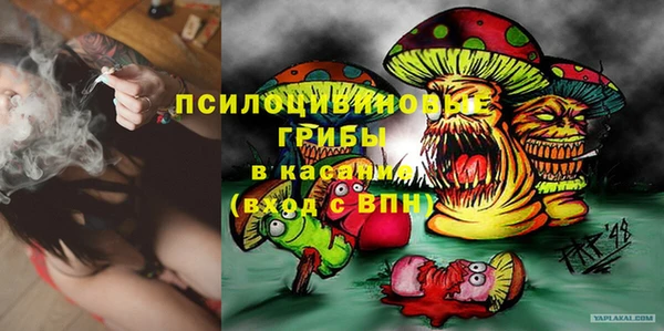 прущие крисы Арсеньев