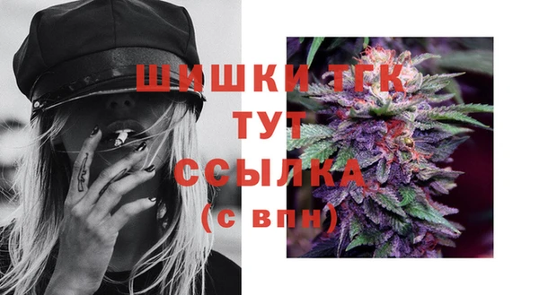 дживик Михайлов