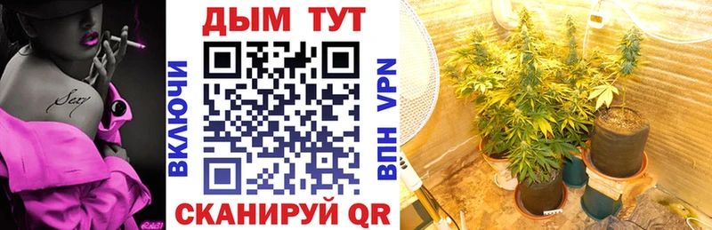 Каннабис индика  Глазов 